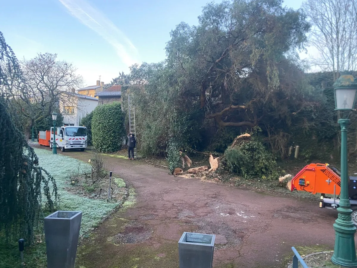 Chantier réalisé par Green Services — 3