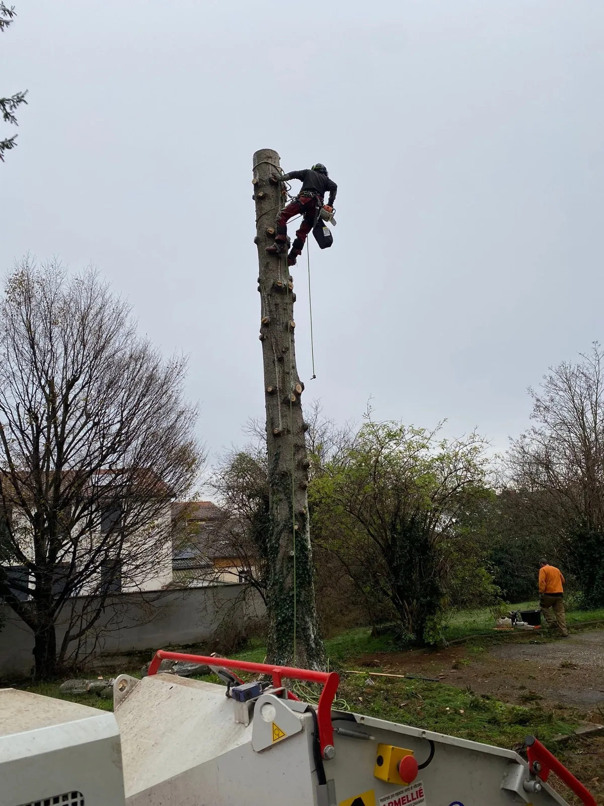Chantier réalisé par Green Services — 6