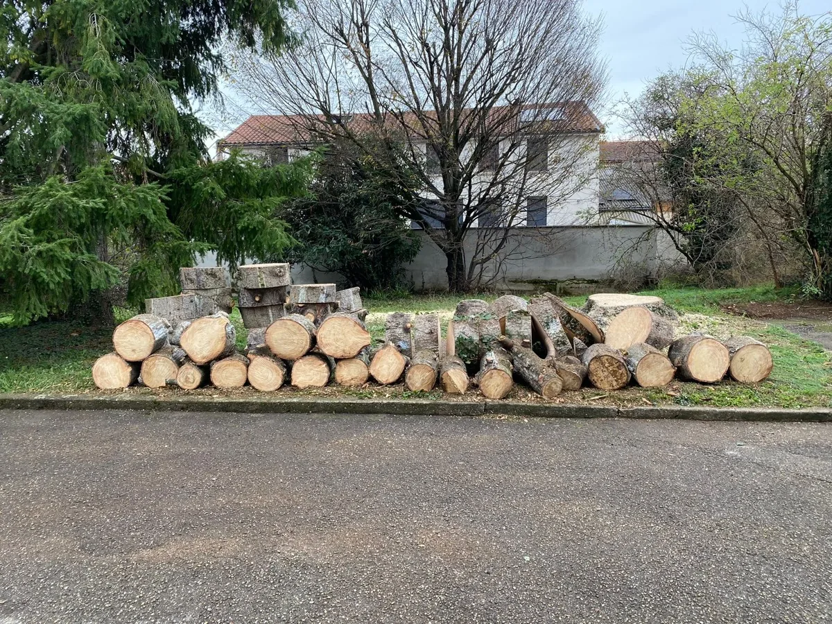 Chantier réalisé par Green Services — 9