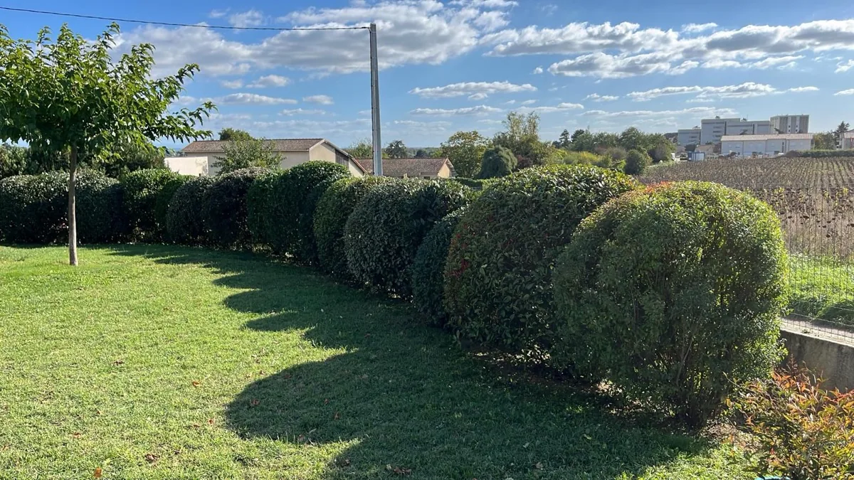 Chantier réalisé par Green Services — 5