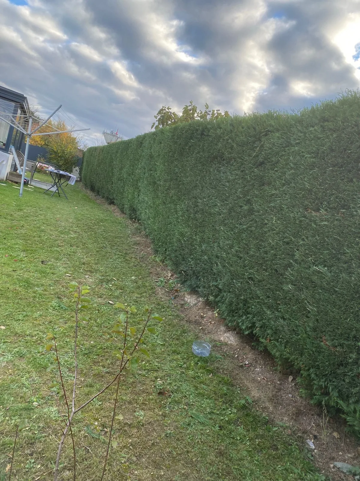 Entretien de jardin — photo 6