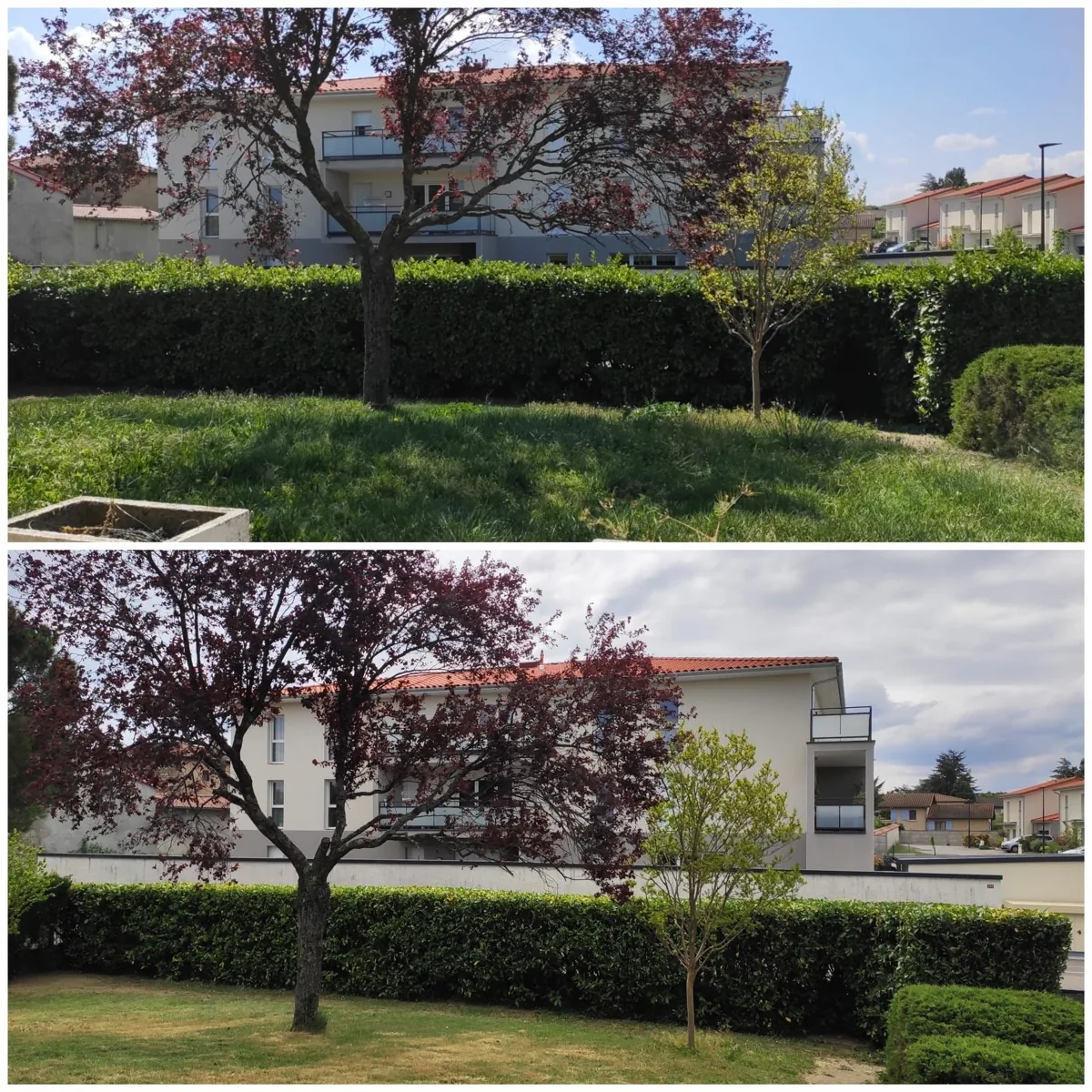 Entretien de jardin — photo 9