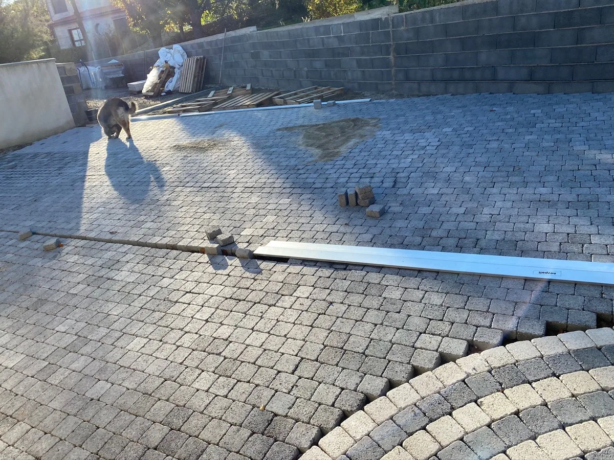 Création paysagère — photo 12